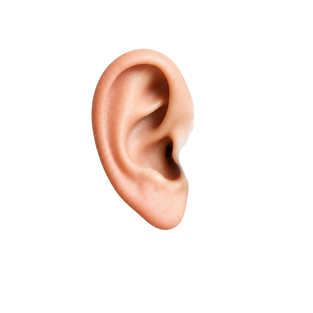 Ilustração de uma orelha com ondas sonoras